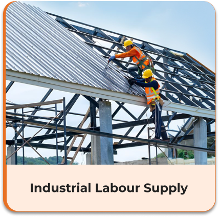 Commercial Construction Labour